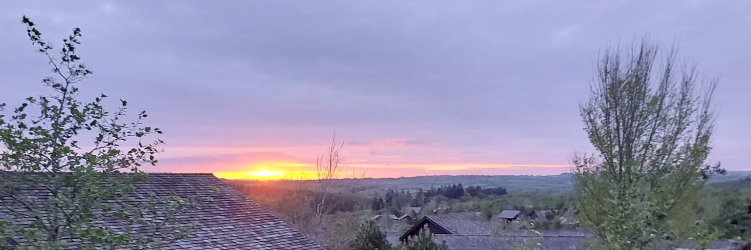 Stunning_Burt's profile banner image