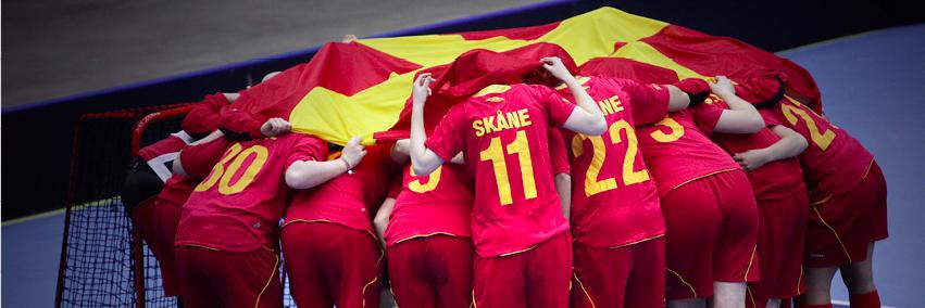 Skånes IBF banner