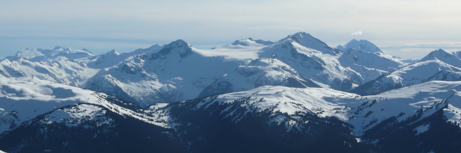 Negin Mirriahi banner