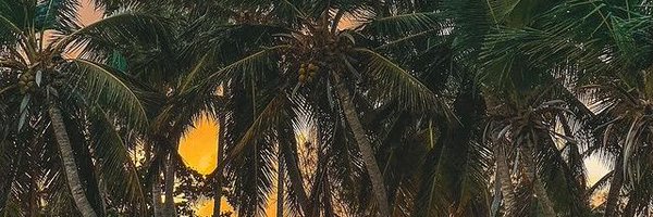 BrettPetter Profile Banner