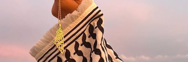 dyna_hasib99 Profile Banner