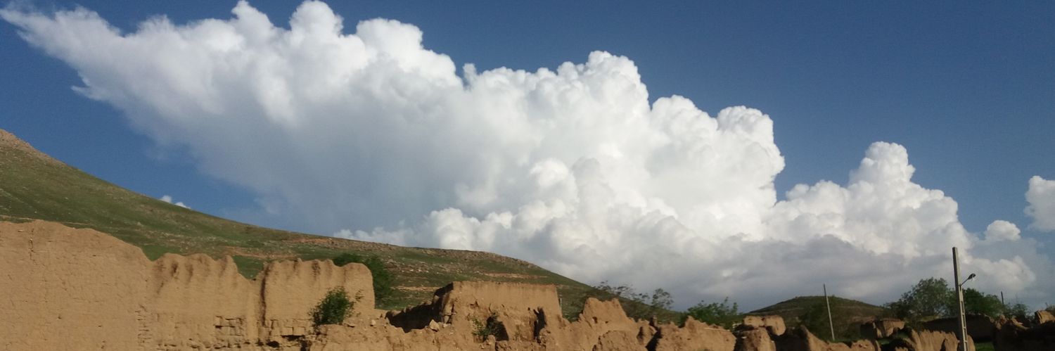 Morteza Zaliaskari banner