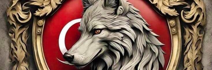 hakkicoban's profile banner image