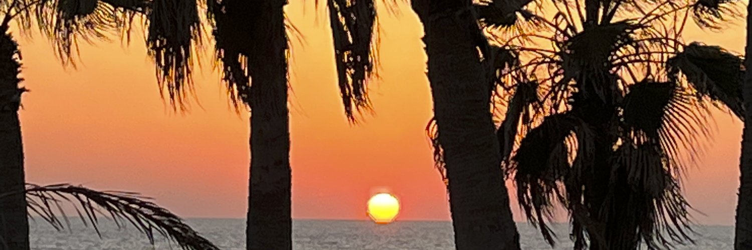AkveldMeike's profile banner image