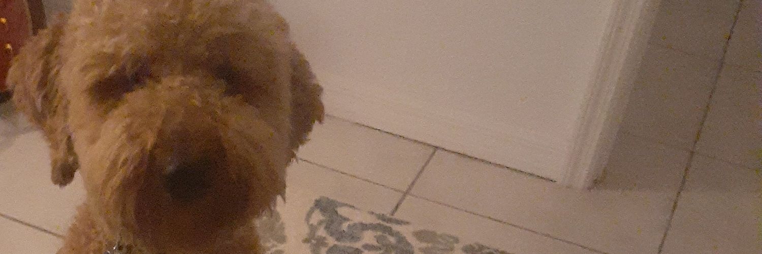 danielamirault1's profile banner image