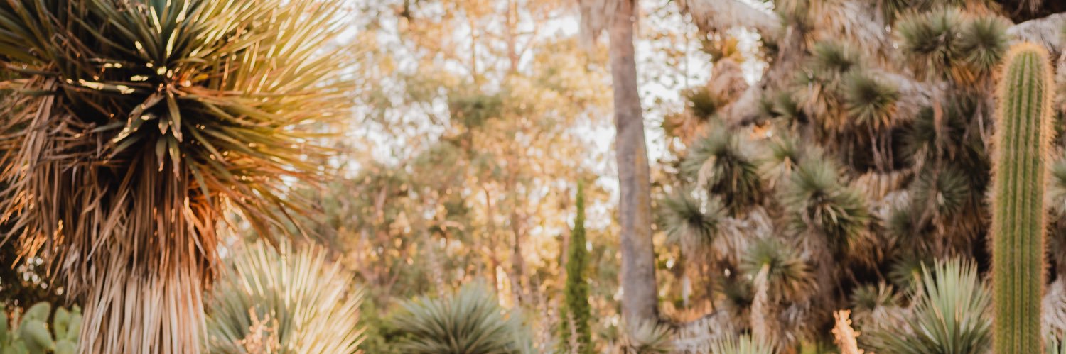 jkpaik's profile banner image