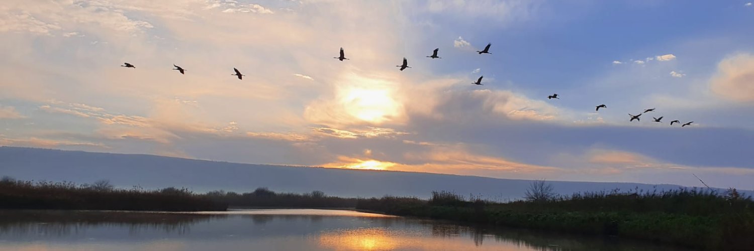 מיכל אגמון Michal Agmon's banner