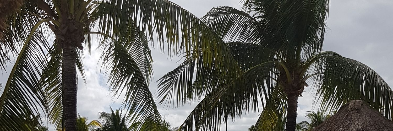 Micael Jacobsson banner