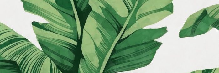 kalyasya's profile banner image