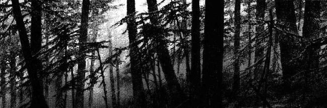 Math Concurseiro banner