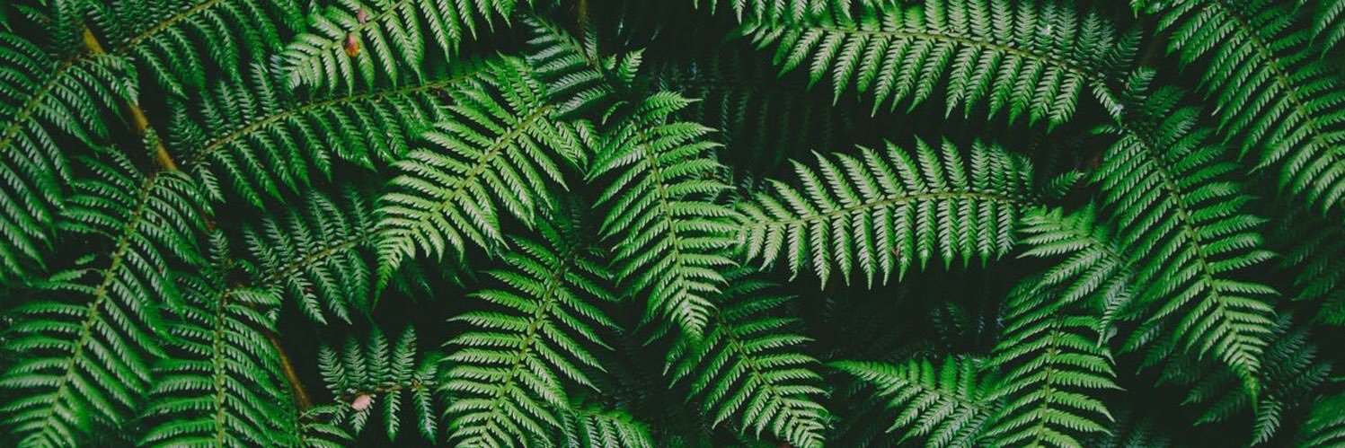 Raúl 🌙 banner