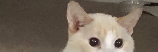 state0falert's profile banner image