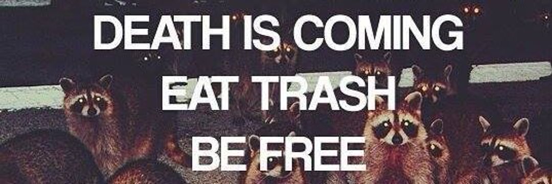 Mazel Tov Cocktail 🏴‍☠️🏳️‍🌈 🇵🇸🎪 banner