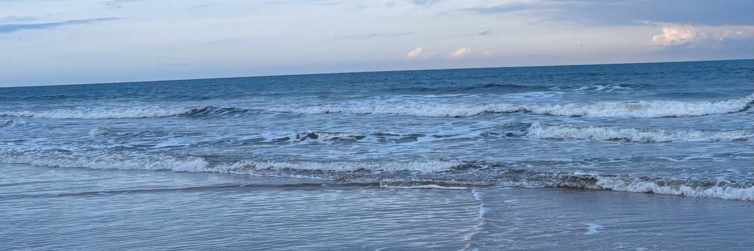 pvddanini_'s profile banner image