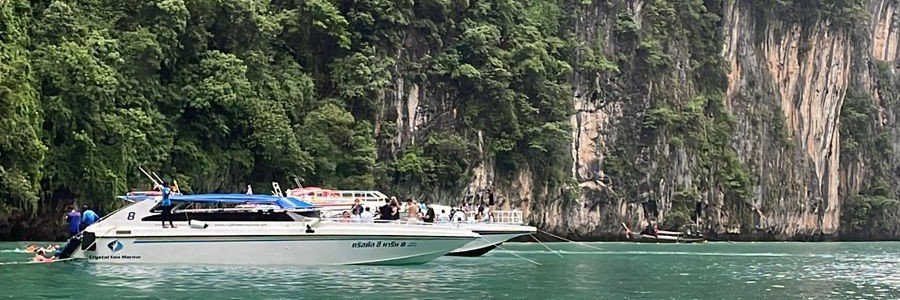 liy399's profile banner image