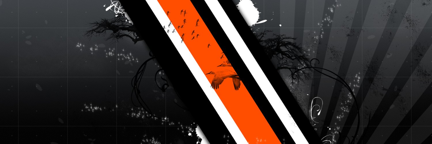 fenixnr's profile banner image