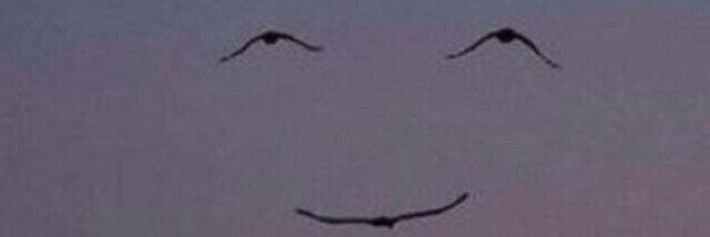 s00009999's profile banner image