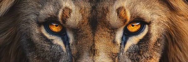 MarkHeath45 Profile Banner