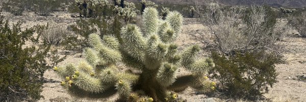 oldMaof4 Profile Banner