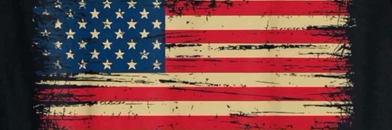 Erica ❤️🇺🇸 💙 banner