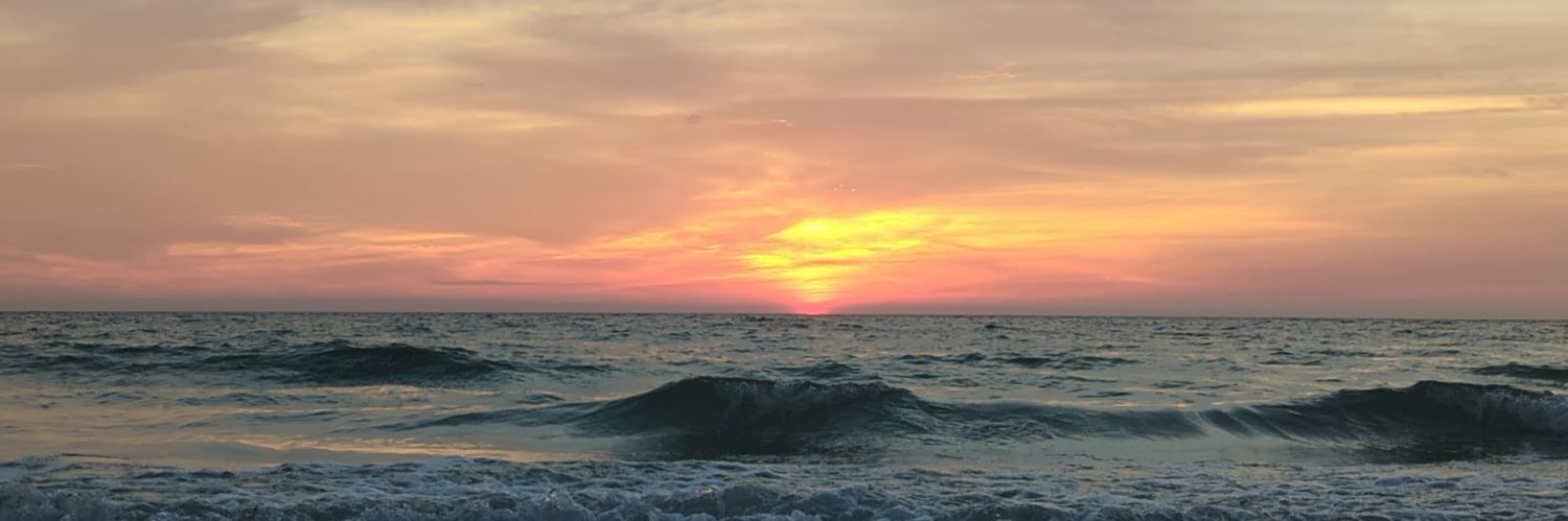 Laceybug321's profile banner image
