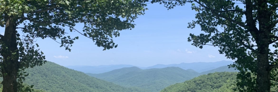 FalsusFicta's profile banner image