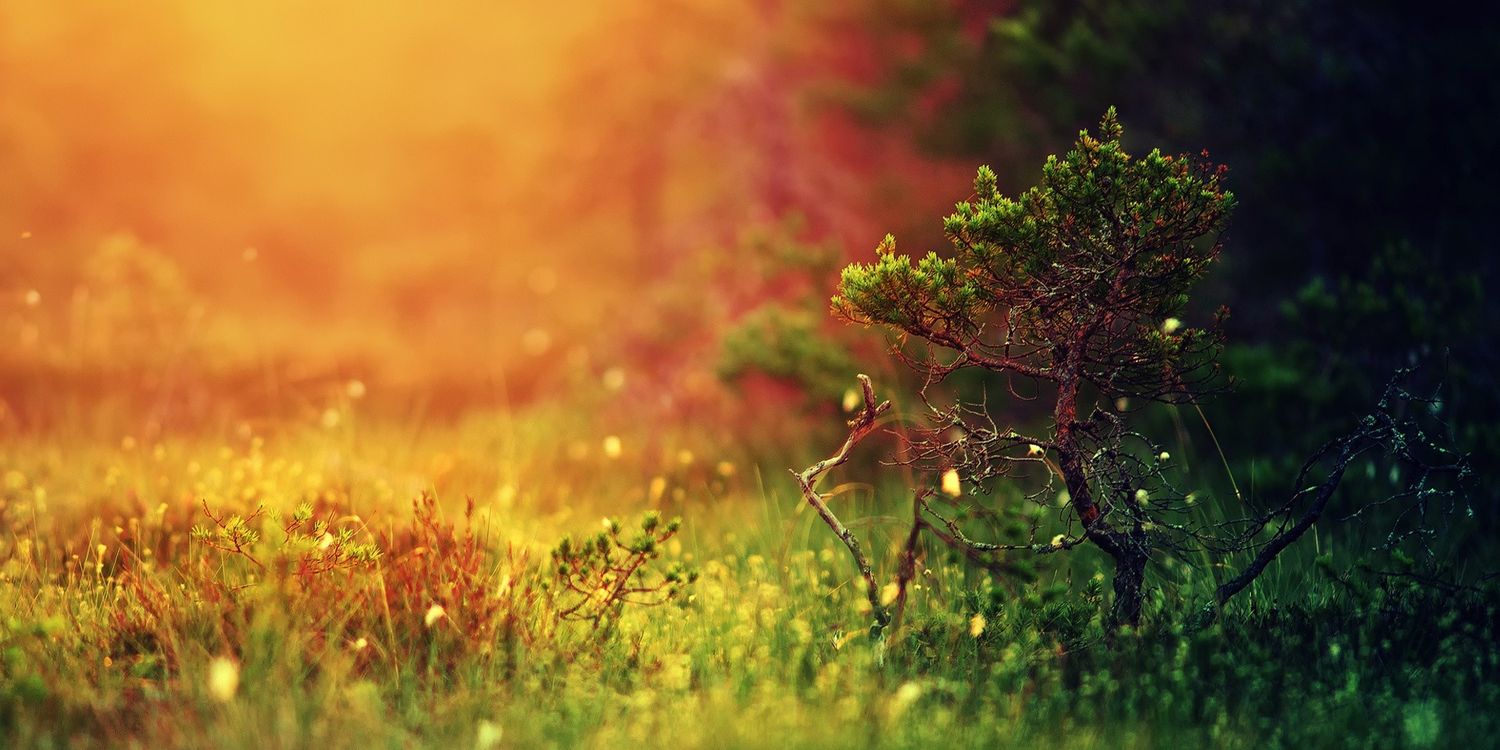 UnderTheRadar's profile banner image