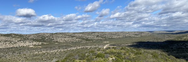 tookiegaile Profile Banner