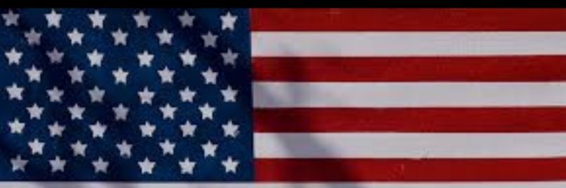 Ann Sayger🇺🇸's banner