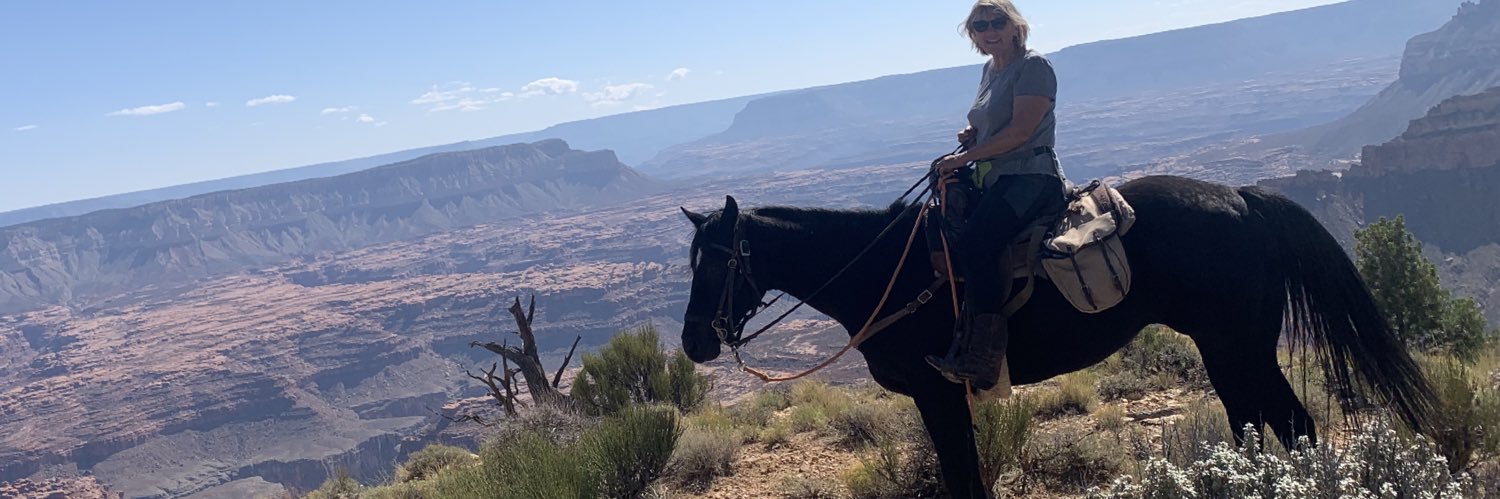 joanmower's profile banner image