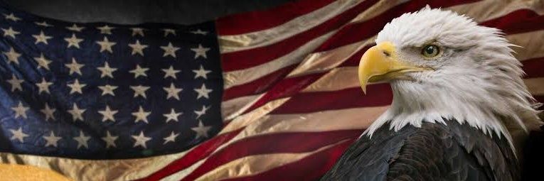 Political Pope banner