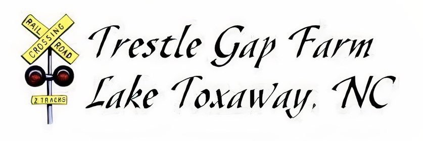 SSTGF1's profile banner image