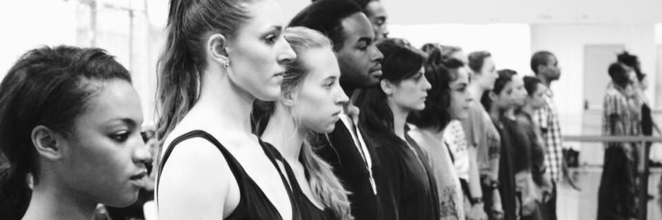 vivoballet's profile banner image