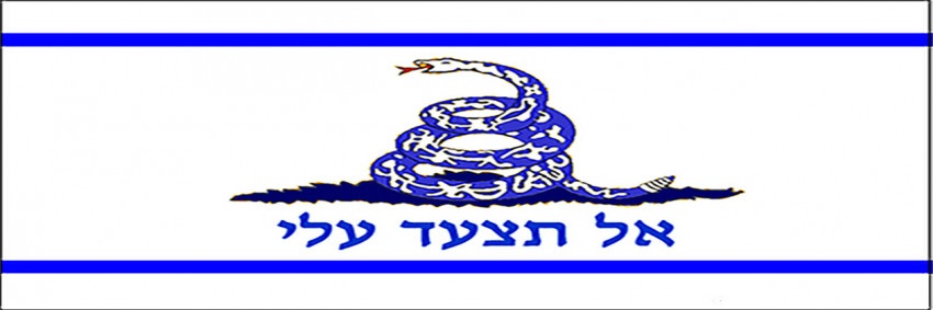 Mr. Kitty 🇮🇱's banner