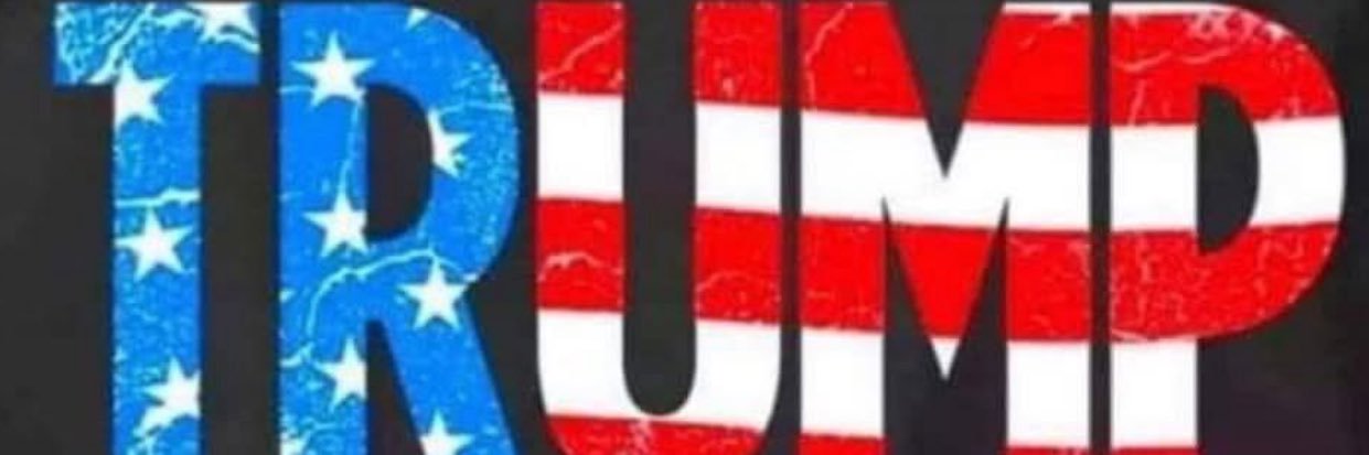 Donskie PI banner