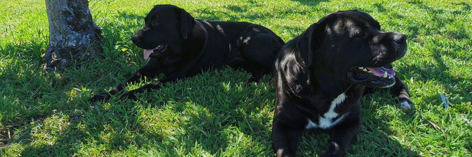 Juanra #RíasBaixas banner