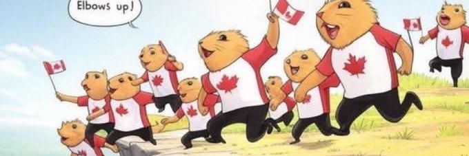 Brideau Eric 🏴‍☠️ banner