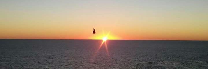 capiguevara's profile banner image
