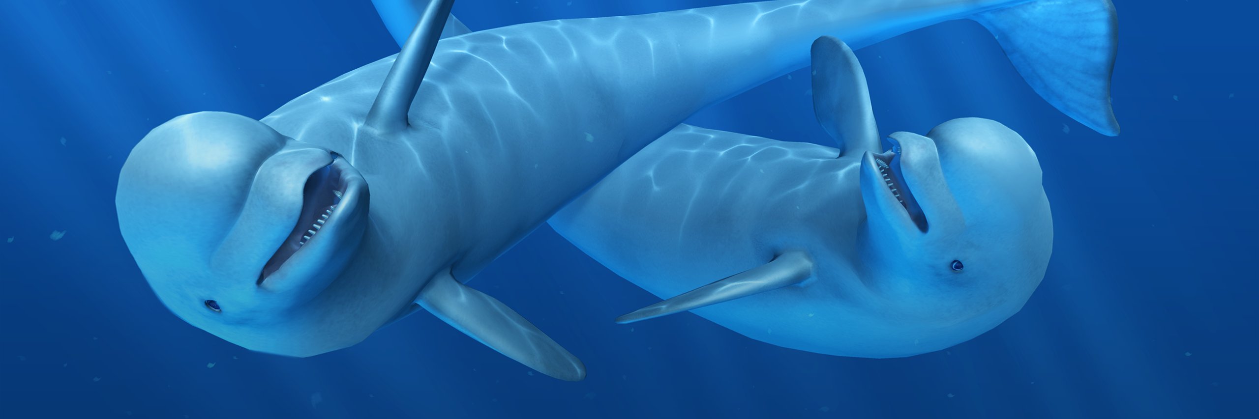 Llyr ap Cenydd banner