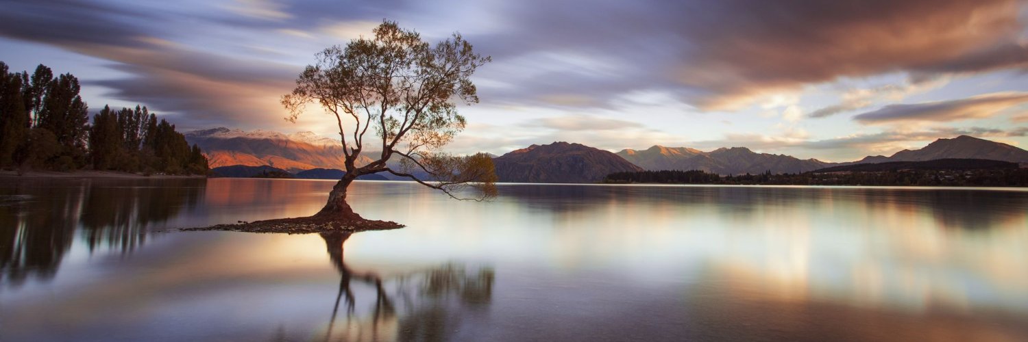 Exonerated 🕊 banner