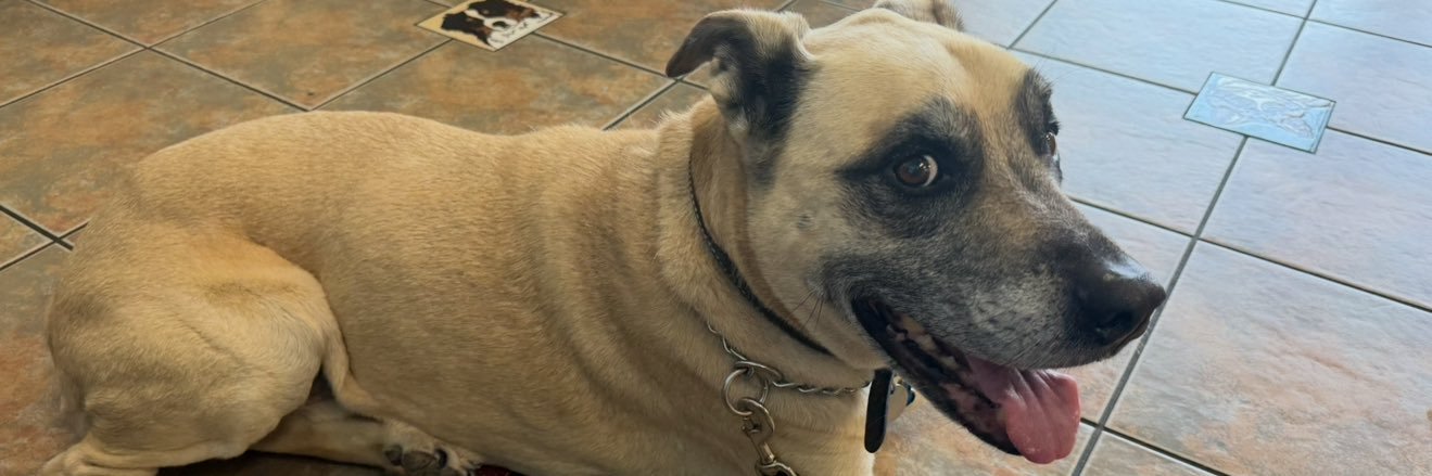 Angelo@BodyConcepts™️ banner