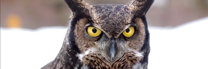 cafer_john's profile banner image
