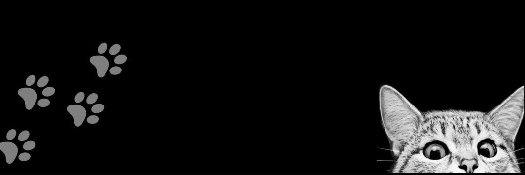 izamaris_'s profile banner image