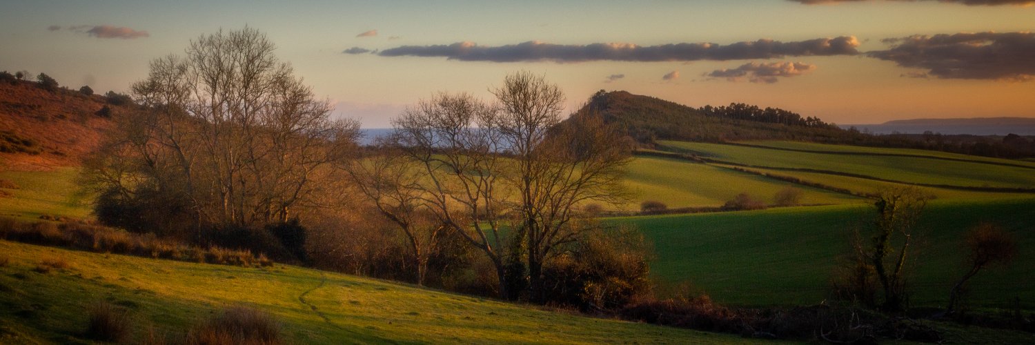 WalkDevon's profile banner image