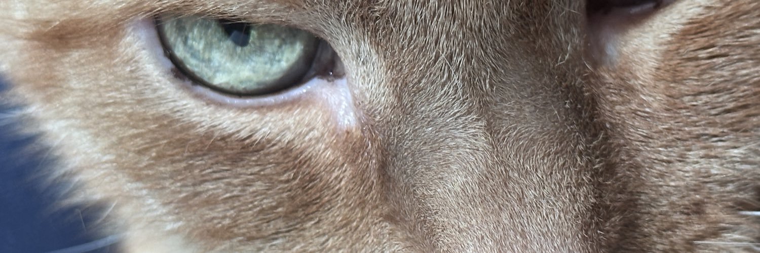 Jecsisa's profile banner image