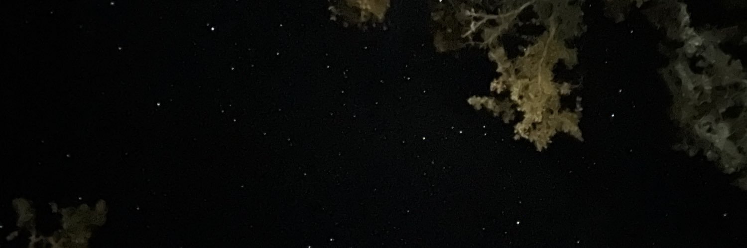 𝒥 banner