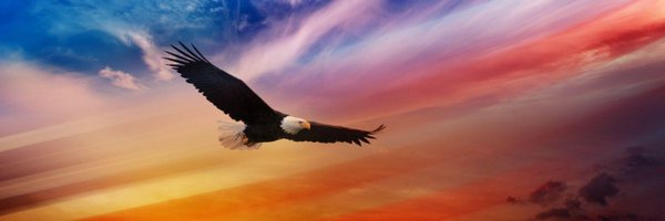 Maine_old_Man Profile Banner