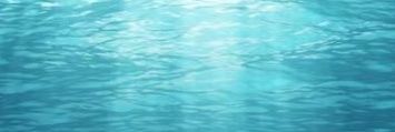 Maria T banner