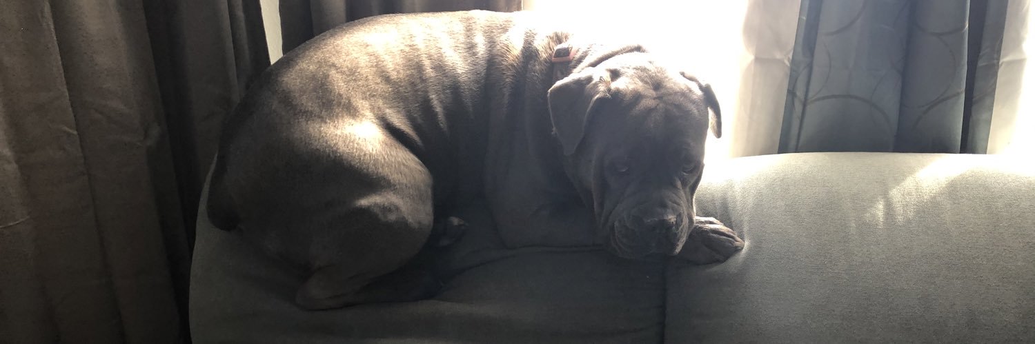 Kimberley Broadsword banner