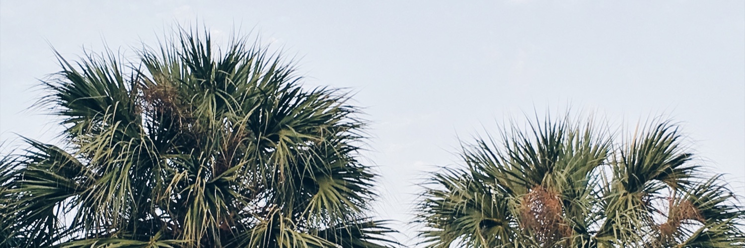 itsallej_'s profile banner image